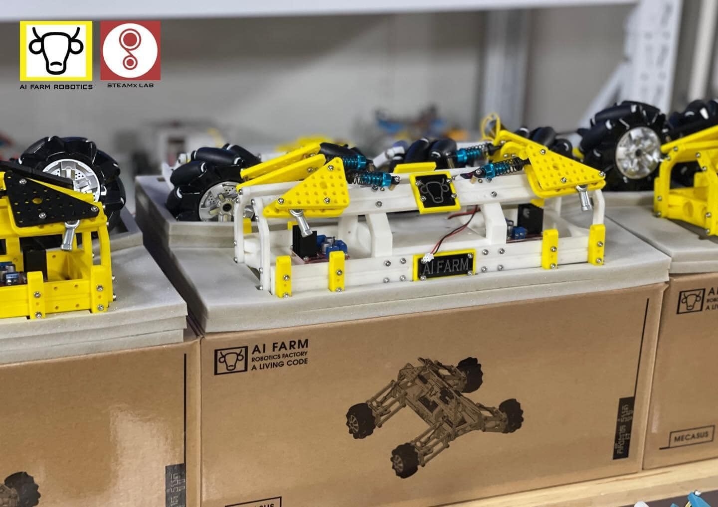 MecaSUS Robot: A Comprehensive Gateway to STEM Learning and Robotics Exploration